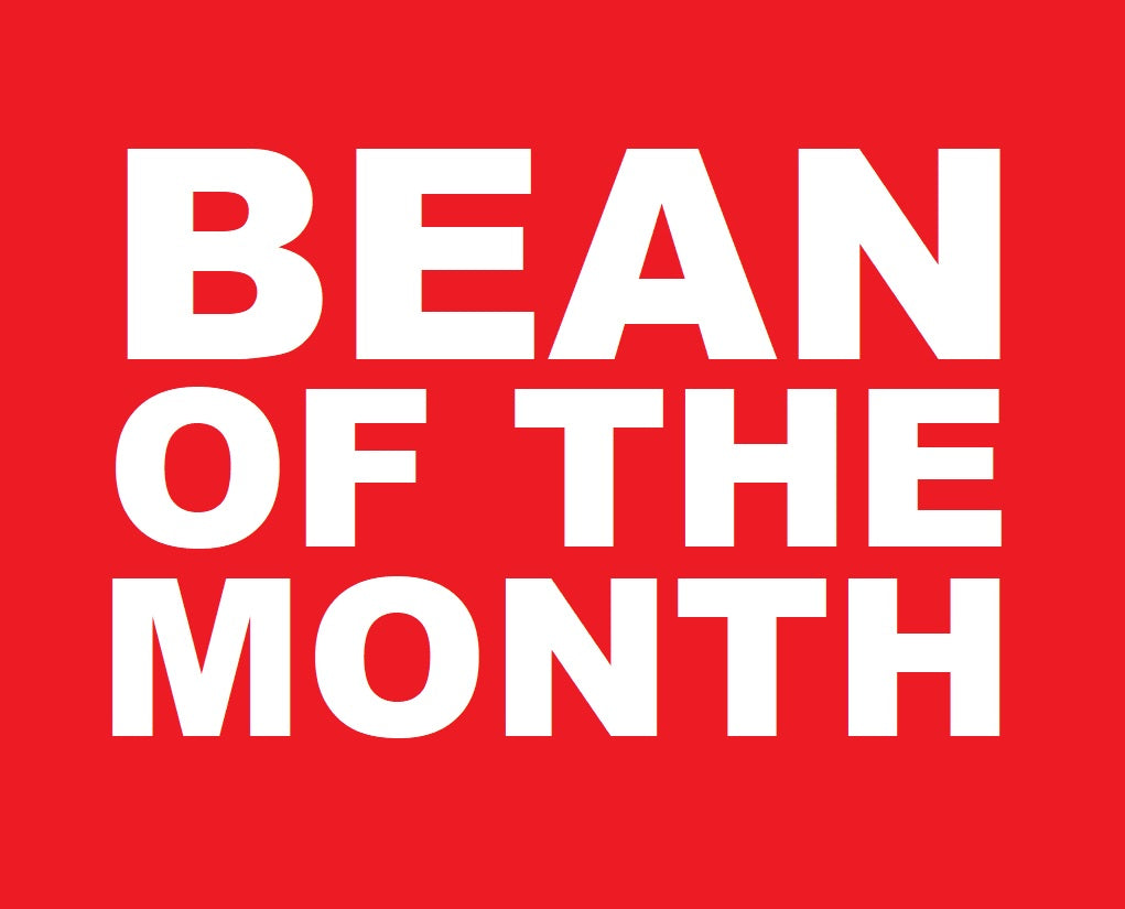 Bean of the Month | Resealable Pouch (VC) Whole Bean / 500g