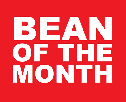Bean of the Month | Resealable Pouch (VC) Whole Bean / 500g